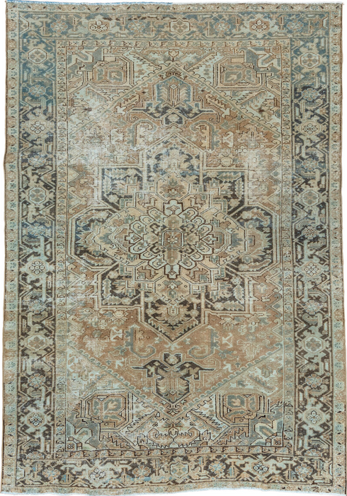 Vintage Heriz Area Rug (6' x 9')